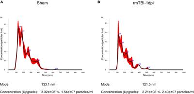Inhibition of Exosome Release Alleviates Cognitive Impairment After Repetitive Mild Traumatic Brain Injury